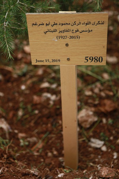 Cedar tree in memory of the Lebanese Commandos Regiment founder